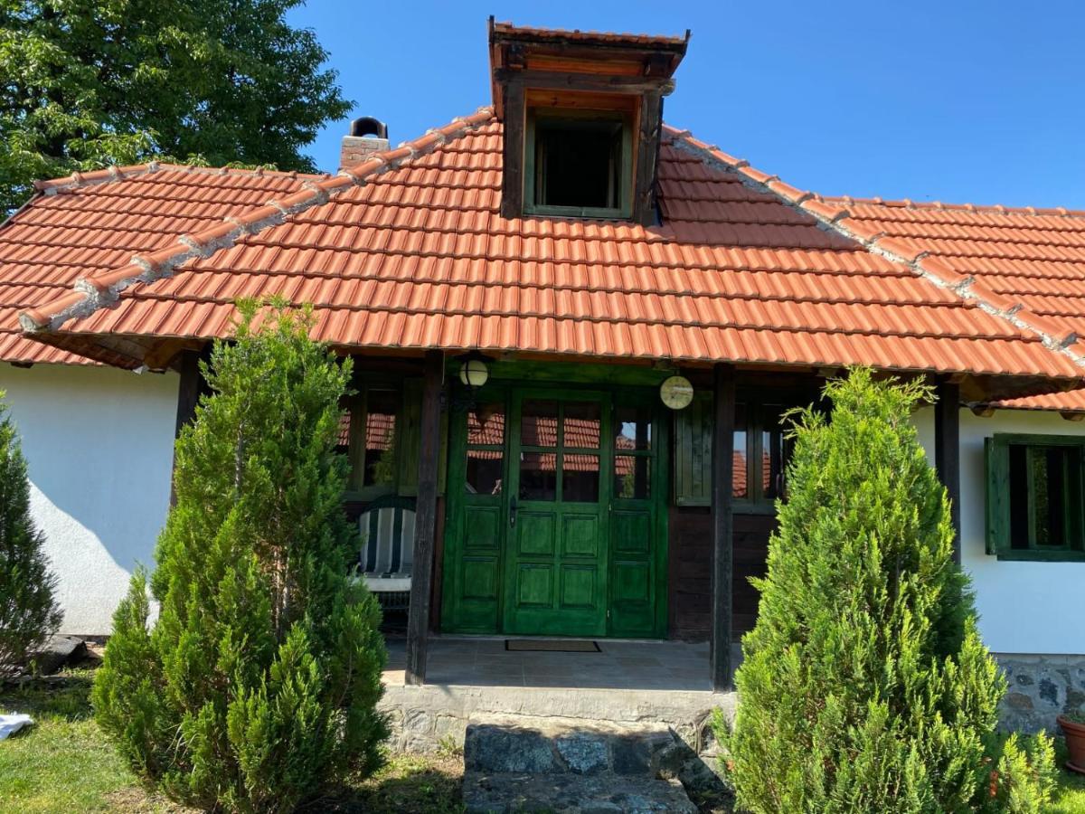 Camp Viljamovka Daire Kremna Dış mekan fotoğraf