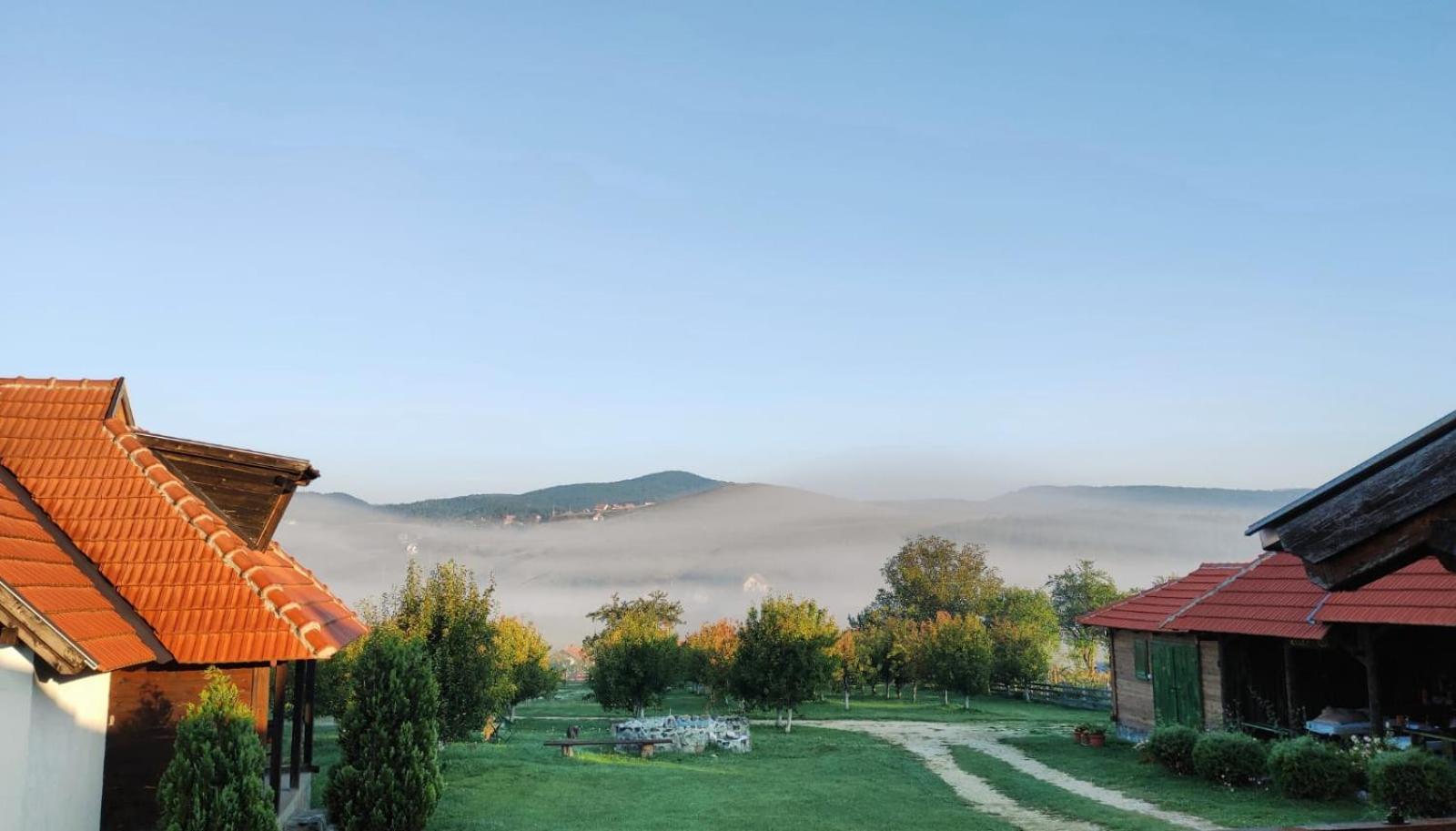 Camp Viljamovka Daire Kremna Dış mekan fotoğraf