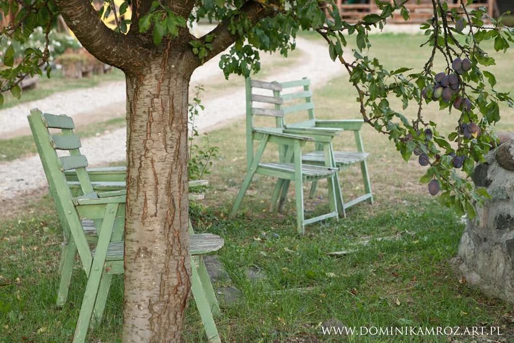 Camp Viljamovka Daire Kremna Dış mekan fotoğraf