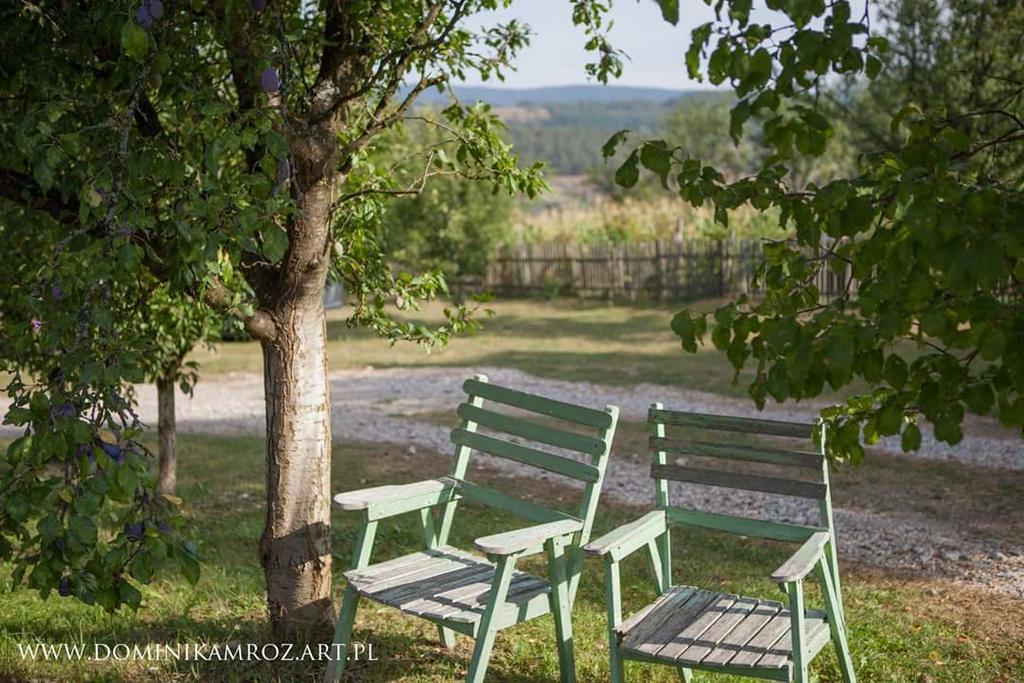Camp Viljamovka Daire Kremna Dış mekan fotoğraf