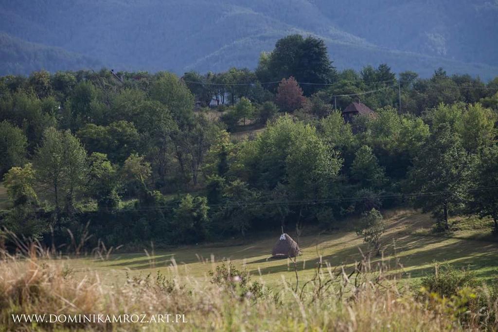 Camp Viljamovka Daire Kremna Dış mekan fotoğraf