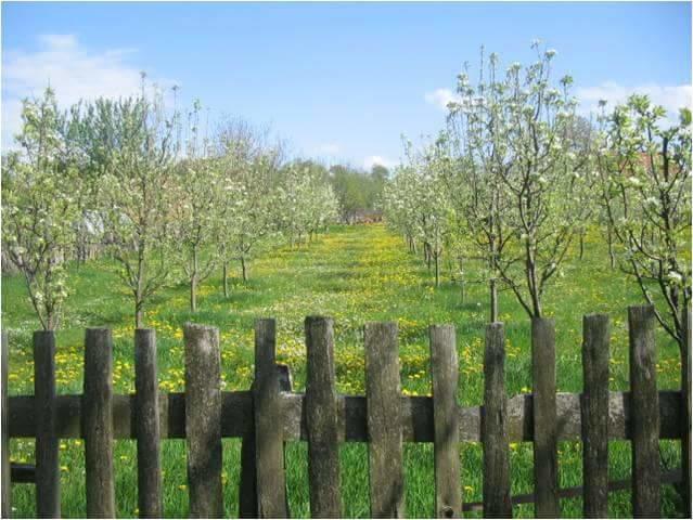 Camp Viljamovka Daire Kremna Dış mekan fotoğraf