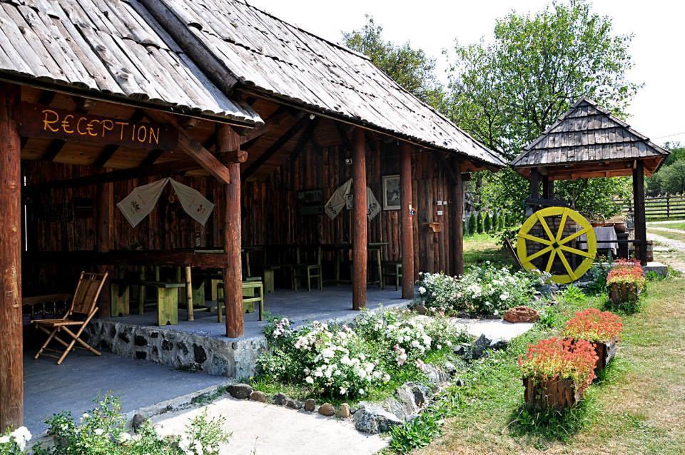 Camp Viljamovka Daire Kremna Dış mekan fotoğraf
