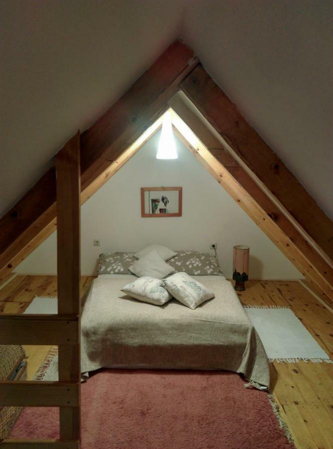 Camp Viljamovka Daire Kremna Dış mekan fotoğraf